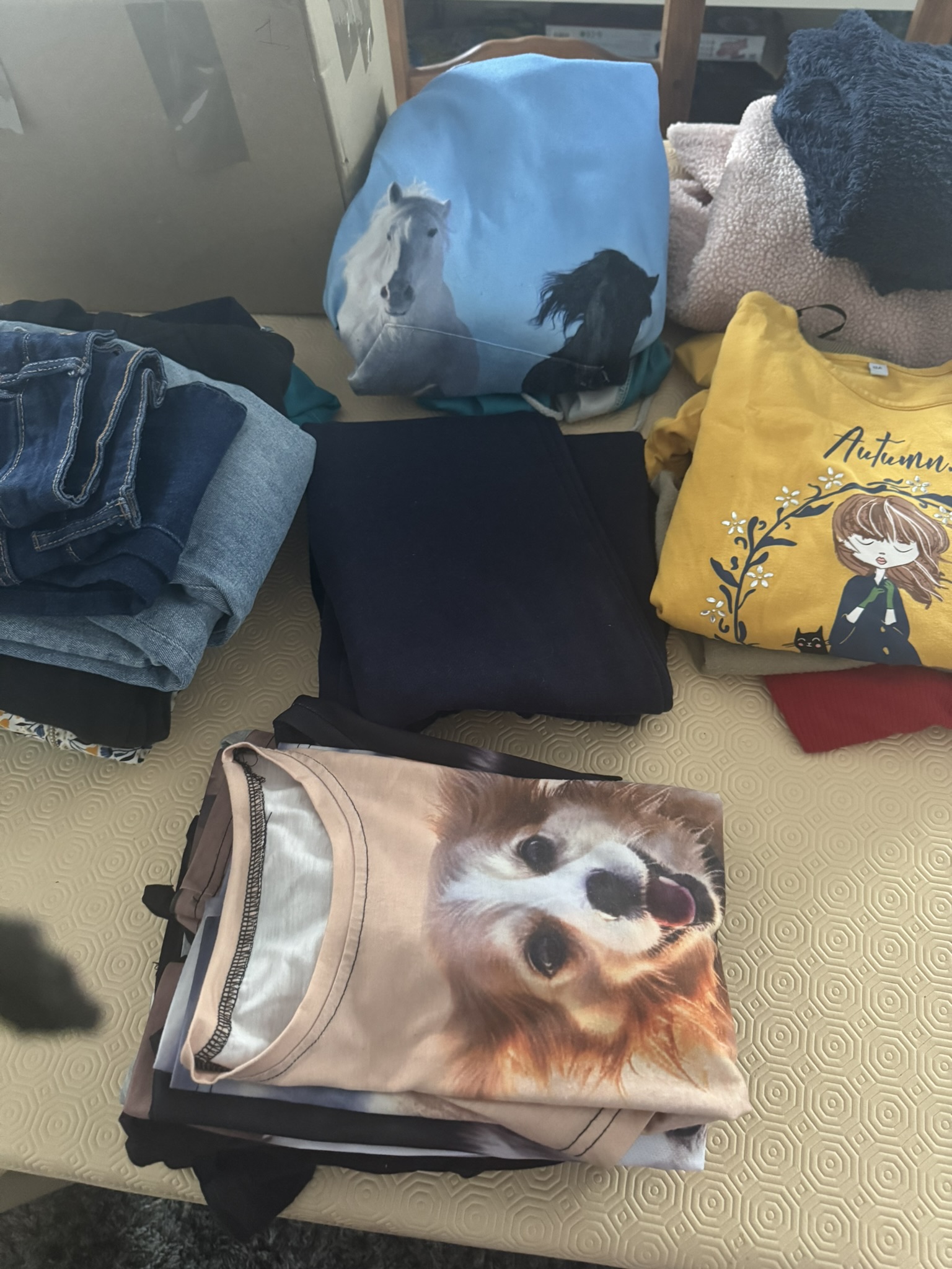 lot 21 vêtements environ fille 12 ans