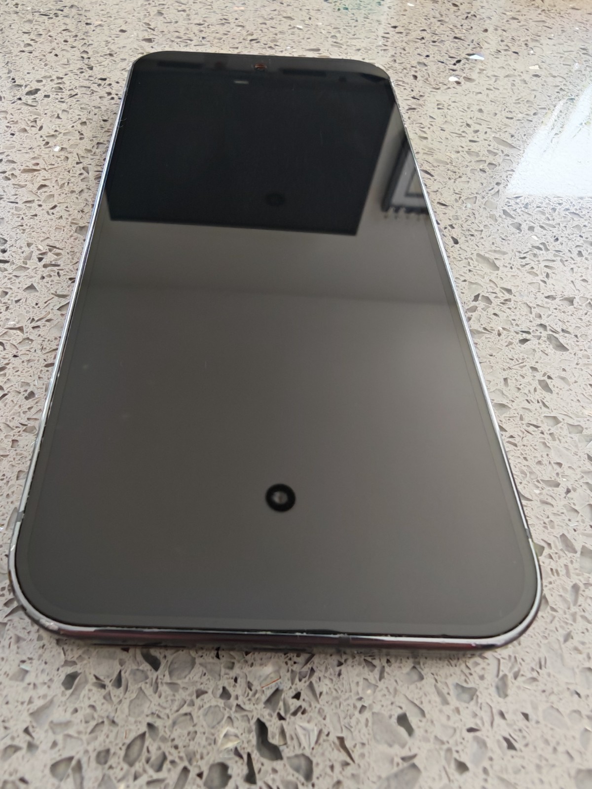 Google Pixel 9 Pro XL 256Go Obsidienne Noir Débloqué Excellent État + Extras - photo numéro 3